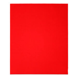 DIABLO DCS911220S04G 9" x 11" Sanding Sheets 220 Grit 4PK